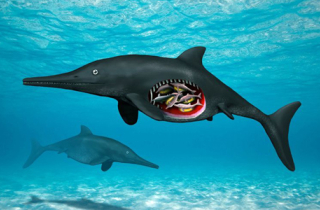Hóa thạch 180 triệu năm của thằn lằn cá mang thai
