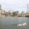 Nhà máy Lọc dầu Dung Quất đạt Top 10 “Nhà máy xanh thân thiện” 2018