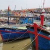 Hải Phòng, Quảng Ninh cấm biển trước khi bão Mun đổ bộ
