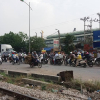 Hà Tĩnh: Dân khóc ròng vì cả đàn trâu bị tàu SE tông chết