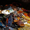 Giẫm đạp kinh hoàng ở cầu đi bộ Ấn Độ, 22 người chết