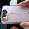 iPhone cứu sống người trong vụ thảm sát Las Vegas