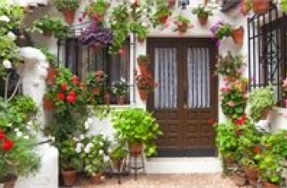 6 năm lấy chồng xa xứ, cô gái Việt không dám về thăm quê