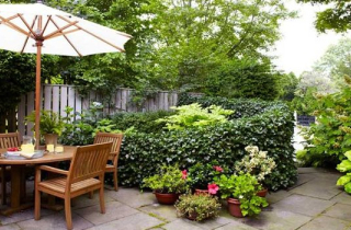 Tờ hóa đơn hé lộ bí mật khủng khiếp của chồng