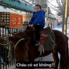 Ông bố cưỡi ngựa đón con tan học mẫu giáo ở Trung Quốc