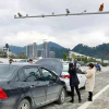 Tài xế Trung Quốc bị tông xe vì nhìn nhầm khỉ thành đèn đỏ