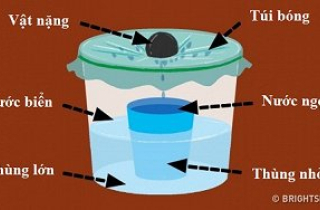 Những mẹo sinh tồn bạn cần dùng lúc nguy cấp