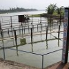Dự báo khô hạn lịch sử, Đà Nẵng thành lập ban chỉ đạo cung cấp nước an toàn