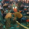 Tàu câu mực chở theo 51 ngư dân va vào bãi đá ngầm