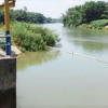 Nước sông Cầu Đỏ nhiễm mặn: Dawaco báo cáo khẩn