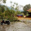 Lốc xoáy thổi bay 50 nóc nhà ở huyện miền núi Nghệ An