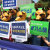 Chủ tịch tổ chức bảo vệ động vật Hàn Quốc bị tố cáo giết hàng trăm con chó