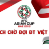 Infographic: Kỳ tích Việt Nam tại Asian Cup 2019 qua những con số