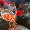 Ngôi làng bán hàng chục tấn cá chép đỏ dịp Tết ông Táo