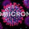 TP.HCM ghi nhận nhiều ca nhiễm Omicron: Liệu làn sóng dịch mới có xảy ra?