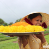 Độc đáo lễ hội Cầu Bông ở làng rau sạch lớn nhất miền Trung