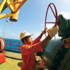 Tập đoàn Dầu khí Việt Nam chủ động thích ứng nhanh với công nghiệp 4.0