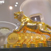 Ảnh: Cận cảnh tượng hổ khổng lồ làm từ hơn 1.200 lượng vàng