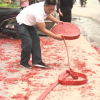 Đốt pháo đỏ đường trong đám cưới ở Hà Nội: Đề nghị làm rõ đồng phạm