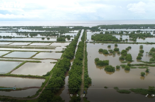 Hải Phòng thu hồi gần 400ha đất bãi bồi ven biển bị 