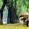 Dự báo thời tiết 27/3: Miền Bắc tăng nhiệt, trời hửng nắng
