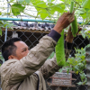 Bỏ phố về quê làm nông sản sạch, nông dân Quảng Bình ‘bỏ túi