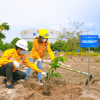 KVT tổ chức “Tết trồng cây” năm 2022 tại Kho cảng PV GAS Vũng Tàu