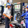 Giá xăng dầu sẽ điều chỉnh giảm?