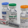 Vaccine COVID-19 Nano Covax đang ở giai đoạn nào?