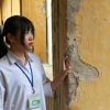 Thầy trò trường THPT Trương Định vừa học vừa lo tường đổ, vữa rơi