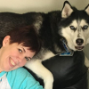 Con chó ba lần phát hiện bệnh ung thư của bà chủ