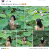 Khỏa thân chụp ảnh dưới hồ sen, cô gái đang gây bão là ai?