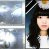Thảm kịch Busan: Nữ sinh bị 4 bạn học bạo hành đến chết?