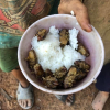 Trẻ em vùng cao ăn cơm với ve sầu: Chủ tịch xã cũng ăn như lũ trẻ
