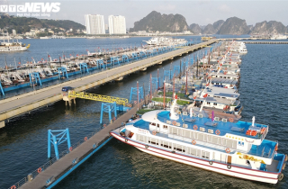 500 tàu du lịch Hạ Long nằm 