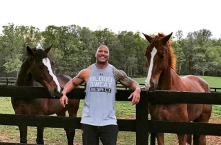 The Rock làm gì để tiêu bớt 2.800 tỷ vừa kiếm được năm qua?