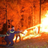 Cháy rừng lịch sử Hà Tĩnh: Đau đớn nhìn rừng thông gần 50 năm tuổi chìm trong biển lửa