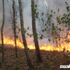 Rừng Quảng Nam và Quảng Ngãi liên tiếp chìm trong biển lửa