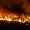 Vì sao đám cháy rừng ở Hà Tĩnh nhiều lần bùng phát lại?