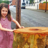 Bé gái Anh viết thư gửi chính quyền sau khi cây xanh bị chặt
