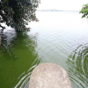 Hà Nội mở cửa xả Hồ Tây dẫn nước vào sông Tô Lịch