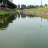 Công ty thoát nước muốn cải tạo sông Tô Lịch thành tuyến buýt đường thuỷ