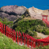 Ngôi đền ven biển có 123 cánh cổng đỏ rực ở Nhật Bản
