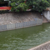 Xử lý ô nhiễm sông Tô Lịch: Công ty Thoát nước Hà Nội phản hồi tổ chức Nhật