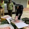 Lạng Sơn: Bắt giữ xe chở 9 tạ nầm lợn hôi thối