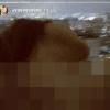 Diệp Linh Châu bị nghi là cô gái trong bức ảnh nhạy cảm của Hữu Vi trên Instagram