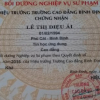 Hàng trăm giáo viên nguy cơ mất việc do giấy chứng nhận sư phạm: UBND tỉnh Bình Định yêu cầu làm rõ