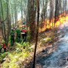 Nắng nóng gay gắt kéo dài, nguy cơ cháy rừng ở Trung Bộ tăng cao