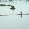 “Thủ phạm” khiến Trung Quốc gánh lũ lụt tồi tệ hàng năm