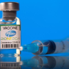 Cuối năm, khoảng 50 triệu liều vaccine Pfizer về Việt Nam
